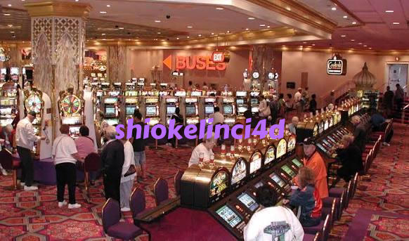 shiokelinci4d slide 1